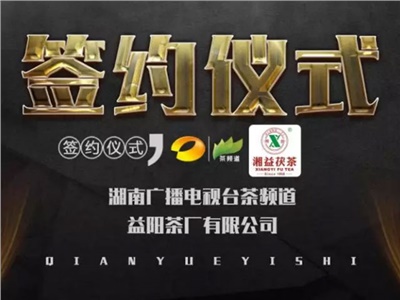 湘益茯，美茗揚(yáng) 丨湘益茯茶與茶頻道達(dá)成長期戰(zhàn)略合作