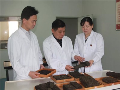 傳承茯茶非遺技藝、開拓創(chuàng)新引領(lǐng)行業(yè)發(fā)展