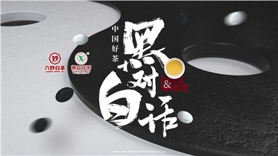 首屆黑白對話高峰論壇圓滿落幕！湘益茯茶備受關(guān)注！