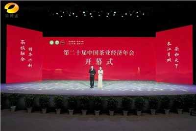 【聚焦第二十屆中國茶業(yè)經(jīng)濟(jì)年會】益陽茶廠榮獲“民族團(tuán)結(jié)互助企業(yè)”、“2024年度茶業(yè)重點企業(yè)”榮譽(yù)稱號